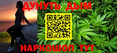 шишки Будённовск