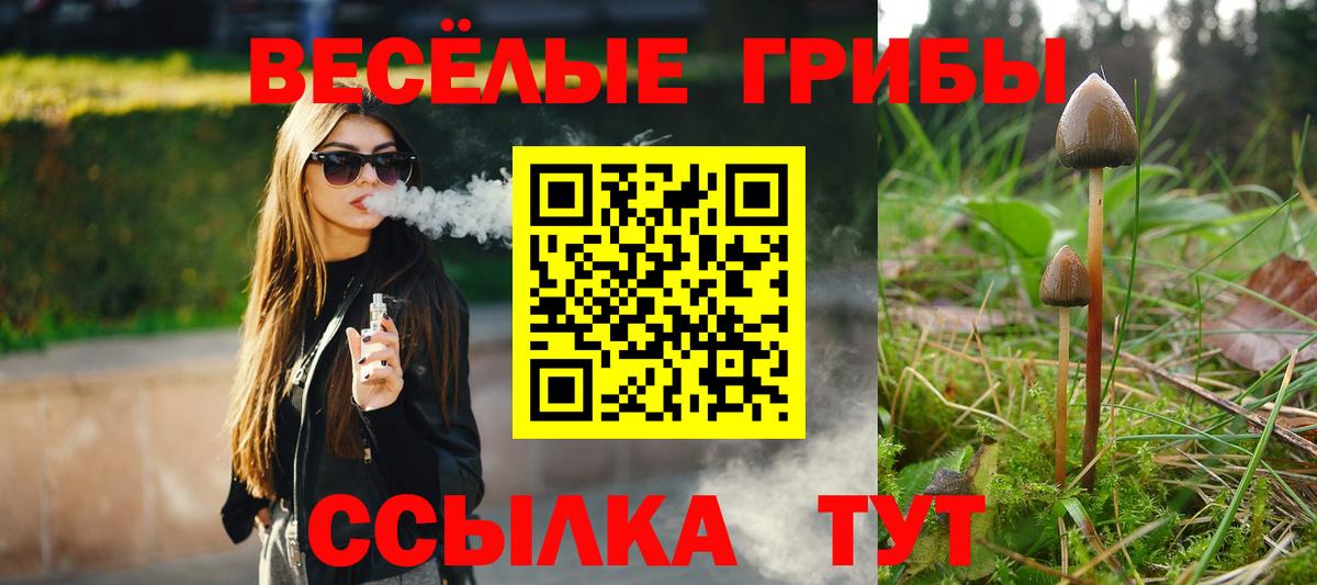 Галлюциногенные грибы GOLDEN TEACHER Урюпинск