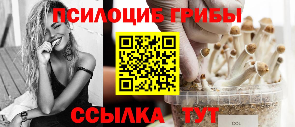 Псилоцибиновые грибы Psilocybine cubensis  Вход с VPN  Урюпинск  Псилоцибиновые грибы MAGIC MUSHROOMS 